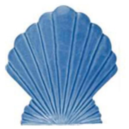 Picture for category Seashell