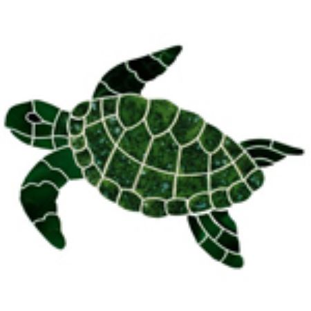Picture for category Turtle